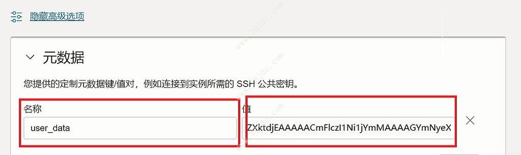 甲骨文云Oracle Cloud官方重装系统/官方救砖教程-图7