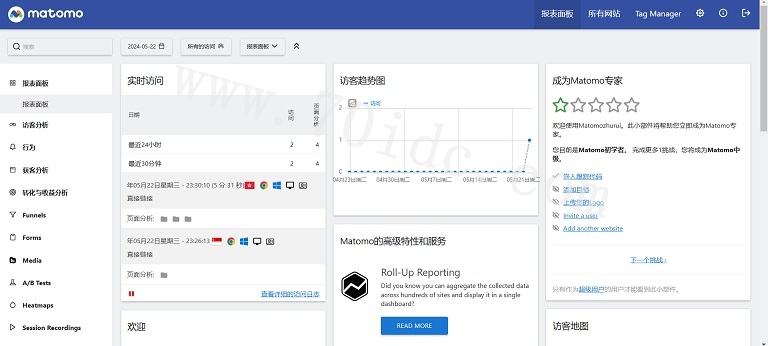 Matomo统计预览一
